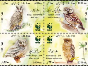  جغدهای بومی ایران 1001