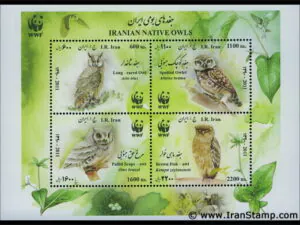  جغدهای بومی ایران 1002