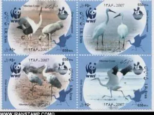  درنای سیبری
