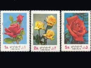  سری گل 1351