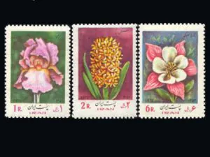  سری گل 1352