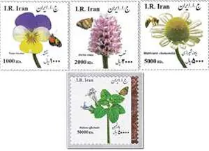  سری گیاهان دارویی سایز بزرگ