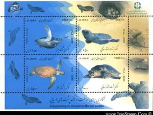  مینی شیت حفاظت از لاک پشت های دریایی