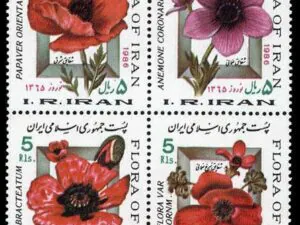 نوروز باستانی 1364