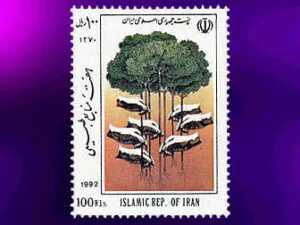  هفته منابع طبیعی 1371